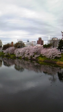 東岡崎　豚もつ鍋屋の社長ブログ-110409_1321~01.jpg