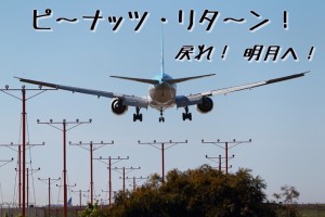 141210korean_airline