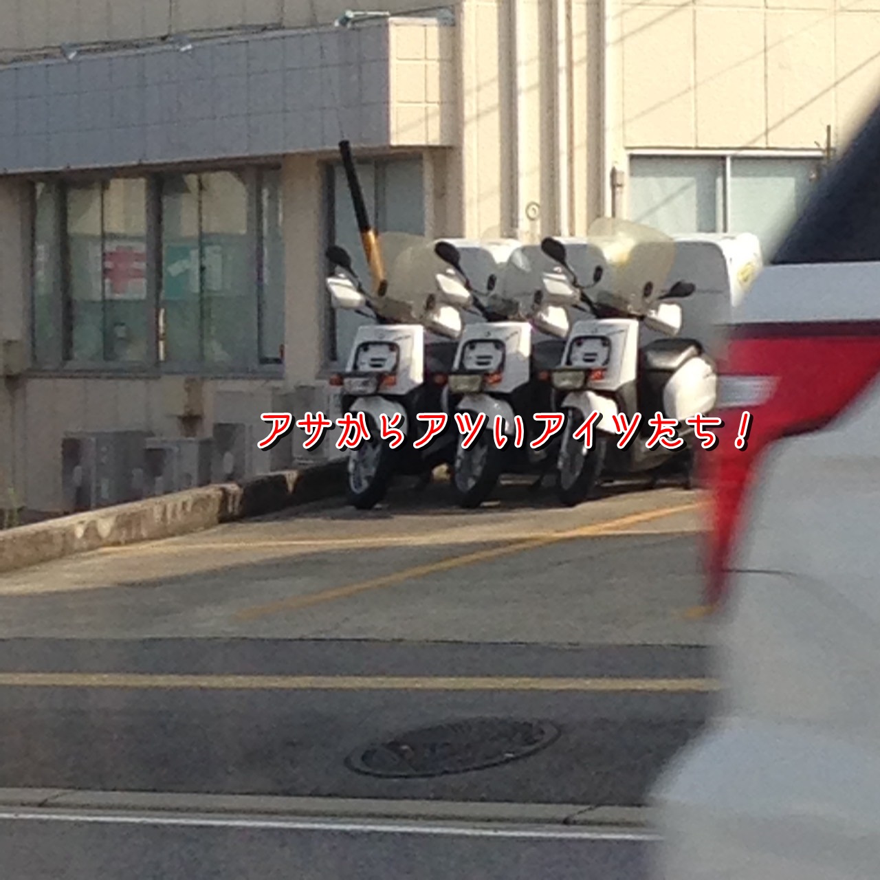 アサからアツいアイツたち！
