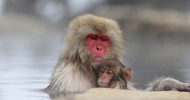 私をスキーに連れてって！