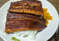 夏が来る前に…