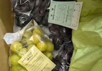 母の愛は葡萄の色より深し